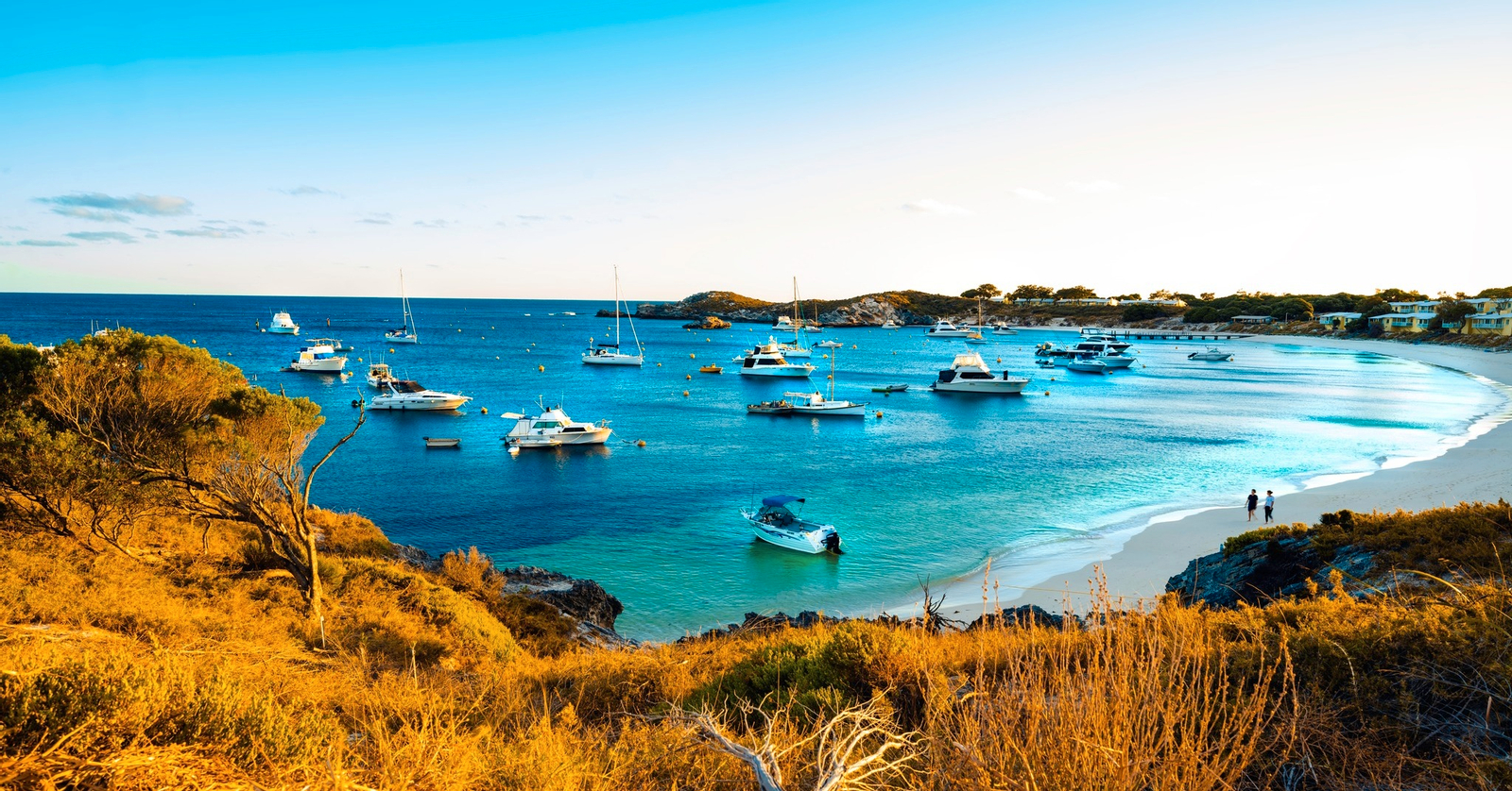 Rottnest Island Bayseeker Bus Tour with Round Trip SeaLink Ferry Transfer Gr6UrwQv