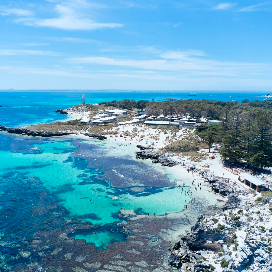 Rottnest Island Bayseeker Bus Tour with Round Trip SeaLink Ferry Transfer uXcwNnjB-backdrop