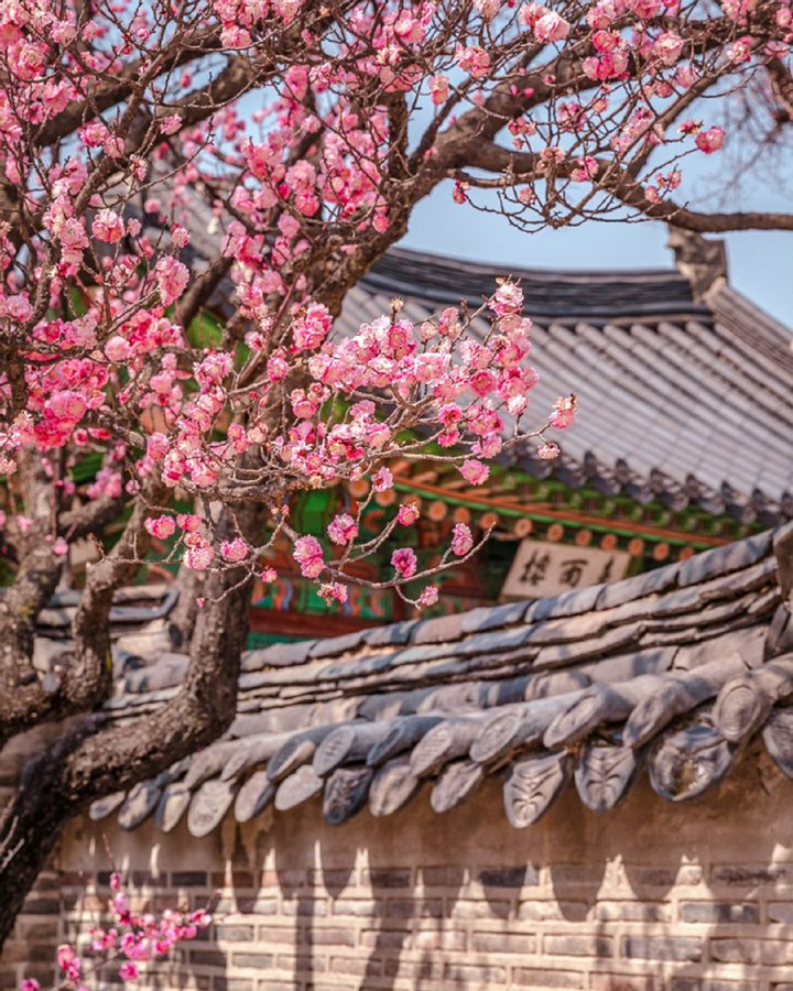 Discover Seoul Pass Sl83Zrns