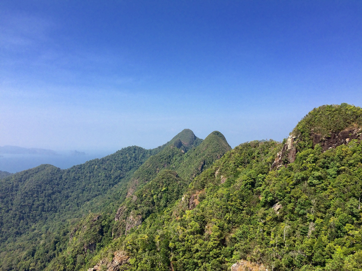 Langkawi Birdwatching Experience with Round Trip Transfer uTbfmzom