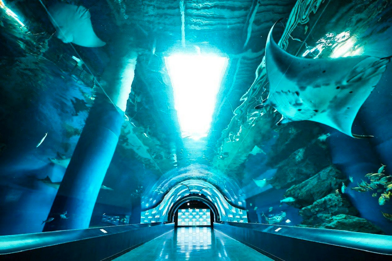 Maxell Aqua Park Shinagawa 2Xhuwey5