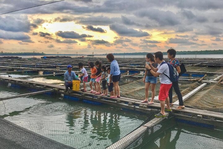 Pulau Ketam Crab Island Tour From Kuala Lumpur Including Lunch Harga