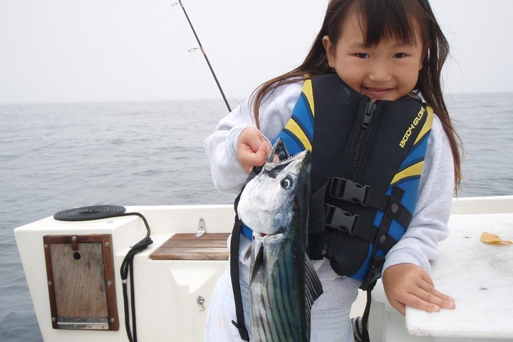 Whale Watching and Fishing Combination Excursions Harga Tiket Promo Up ...