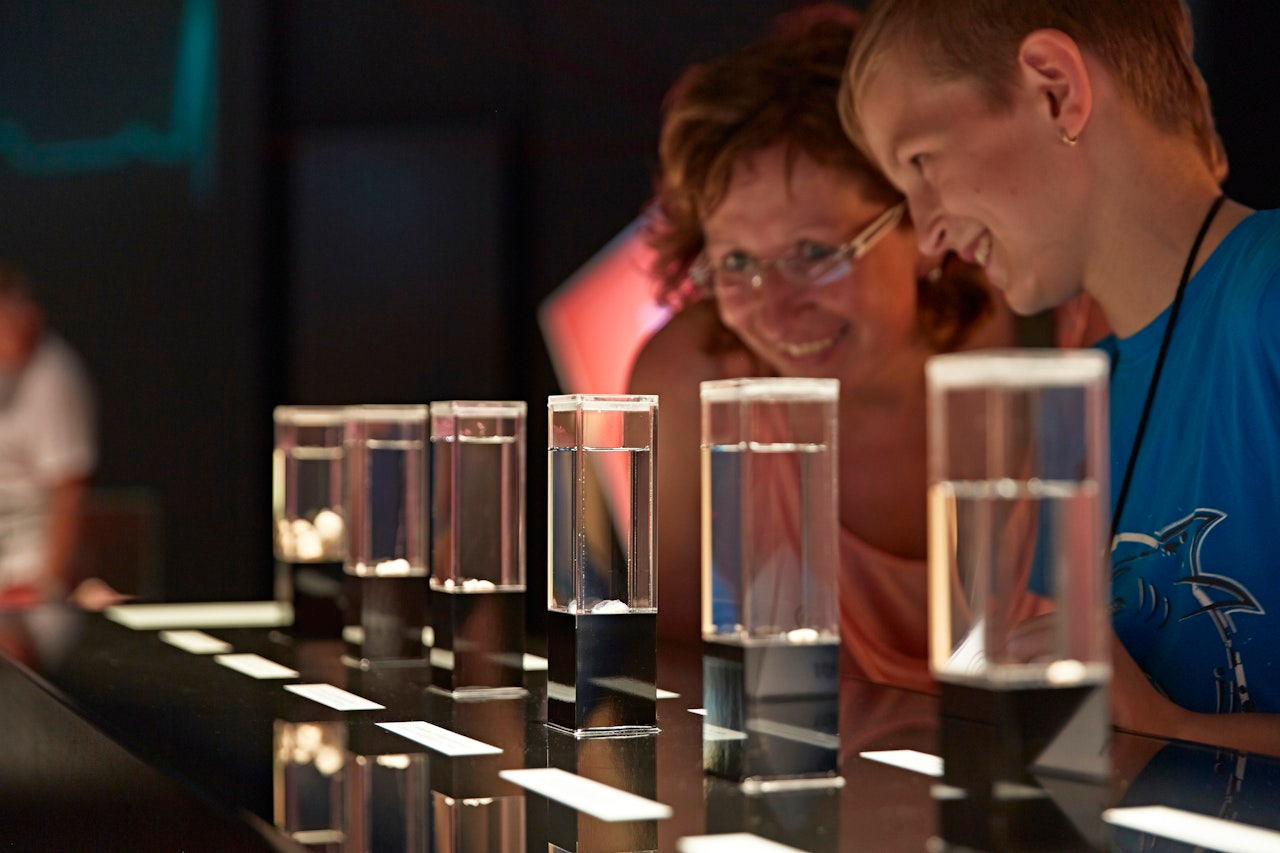 BODY WORLDS Berlin fFEAxexQ