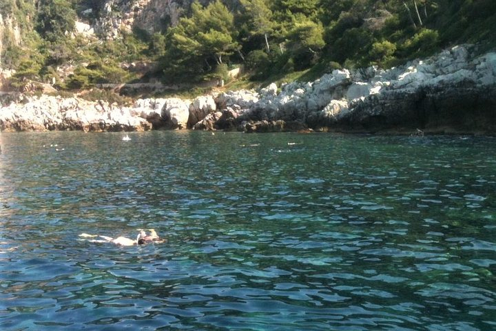 French Riviera Villefranche Bay Snorkeling Tour from Nice zynqd3e6-backdrop