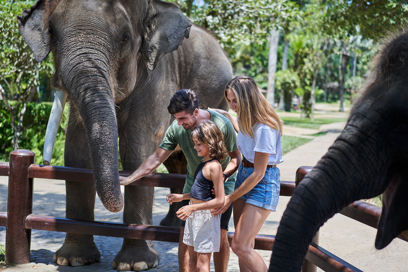 Mason Elephant Park Bali by Mason Adventures (Formerly known as Elephant Safari Park) sV78YPw1