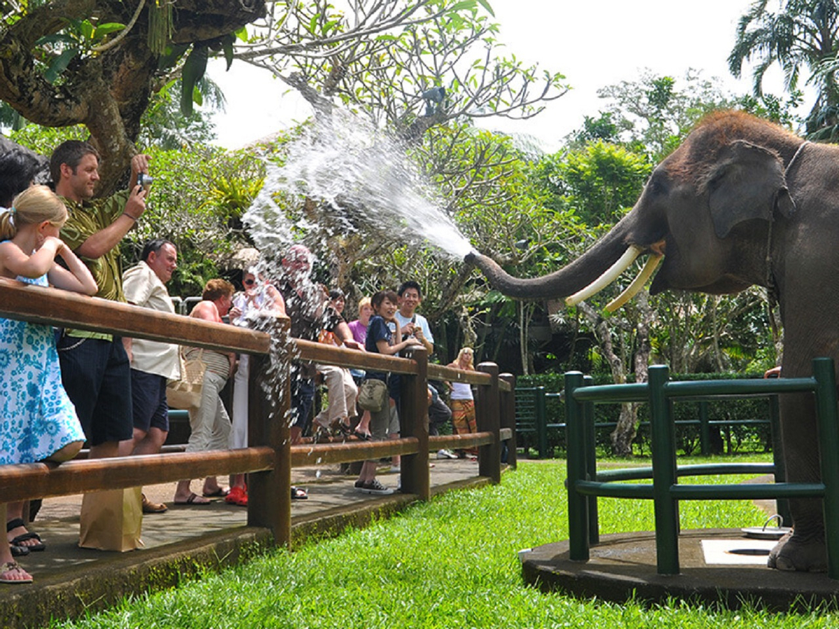 Mason Elephant Park Bali by Mason Adventures (Formerly known as Elephant Safari Park) S5ncvMil