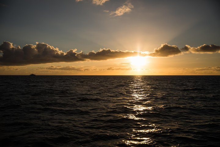 Oahu Friday Fireworks Cruise JGIH9AwQ
