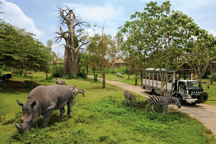 lokasi taman safari bali