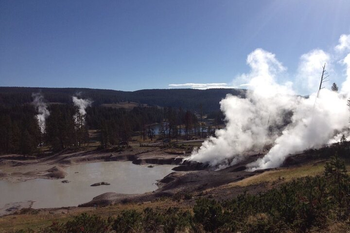 All-Inclusive Yellowstone Lower Loop VOLCANO P/U Fishing Bridge  E8rz6qMA