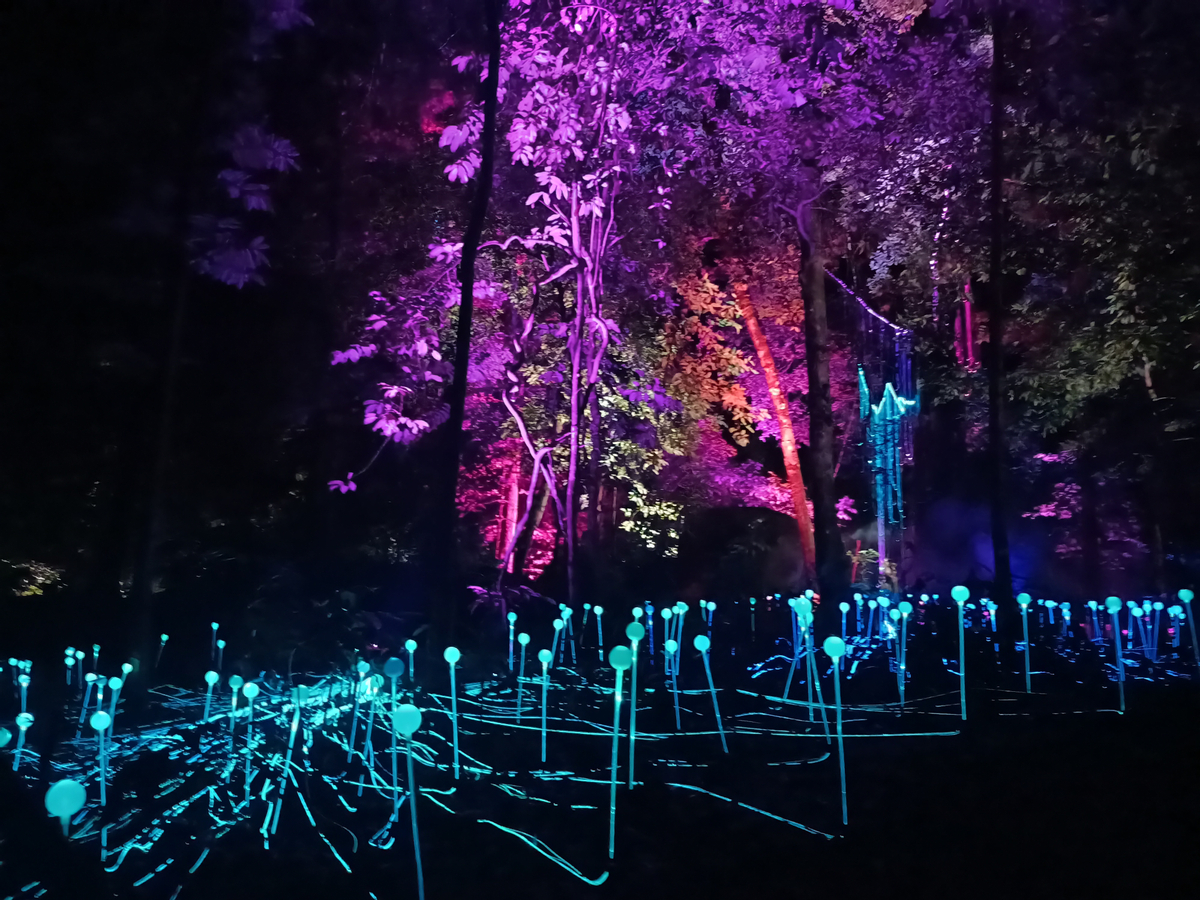 Dream Forest Langkawi VZf46kbK