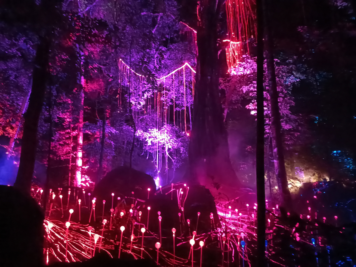 Dream Forest Langkawi OeGFiYVt