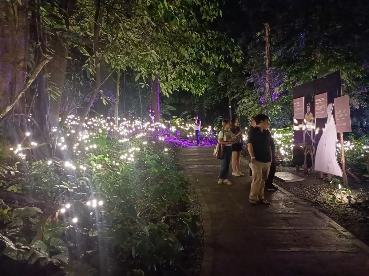 Dream Forest Langkawi SXM9kEOM