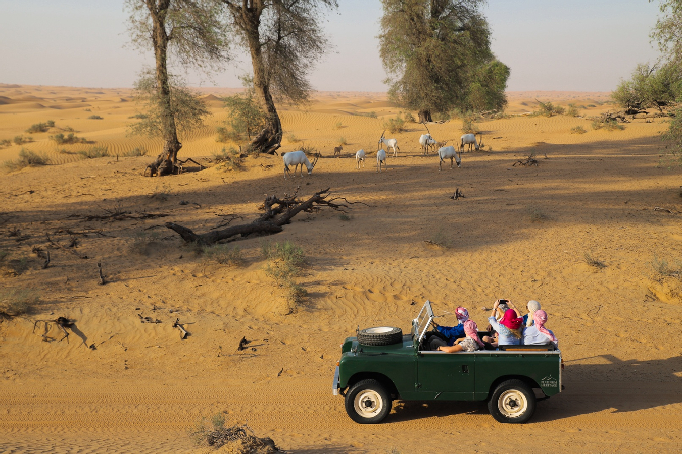 Tiket Luxury Desert Safari Experience By Platinum Heritage Harga Promo Tiket Luxury Desert Safari Experience By Platinum Heritage Harga Promo