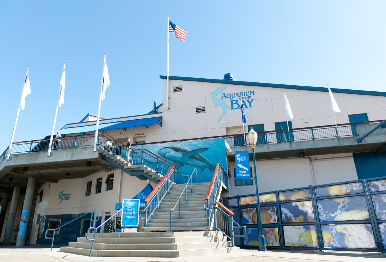 Aquarium of the Bay Ticket in San Francisco r4oglNq9-backdrop