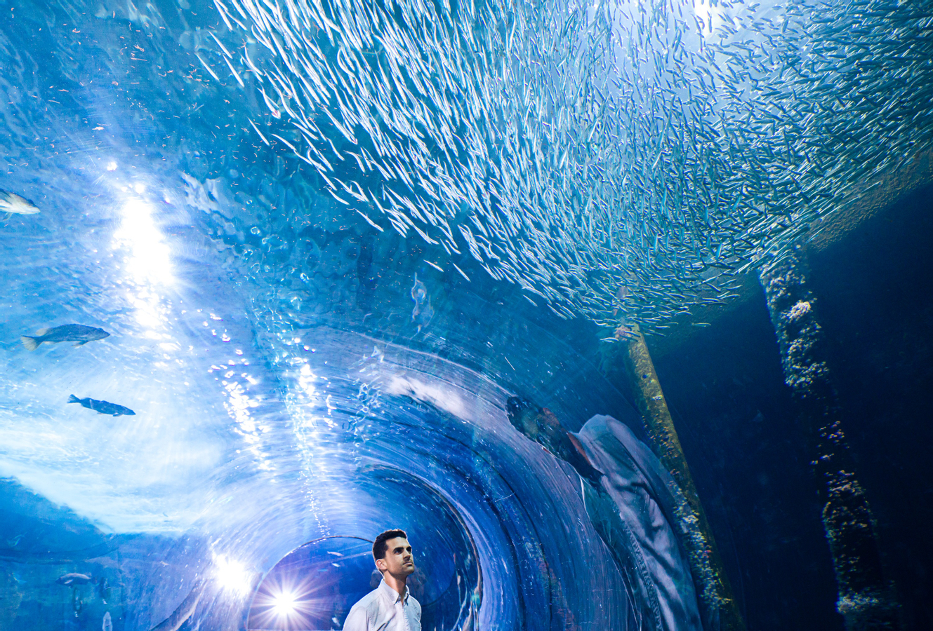 Aquarium of the Bay Ticket in San Francisco yBtcSlSb