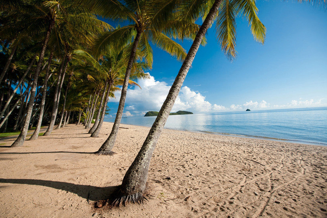 Tiket Kuranda and Palm Cove Day Tour from Port Douglas Harga Promo