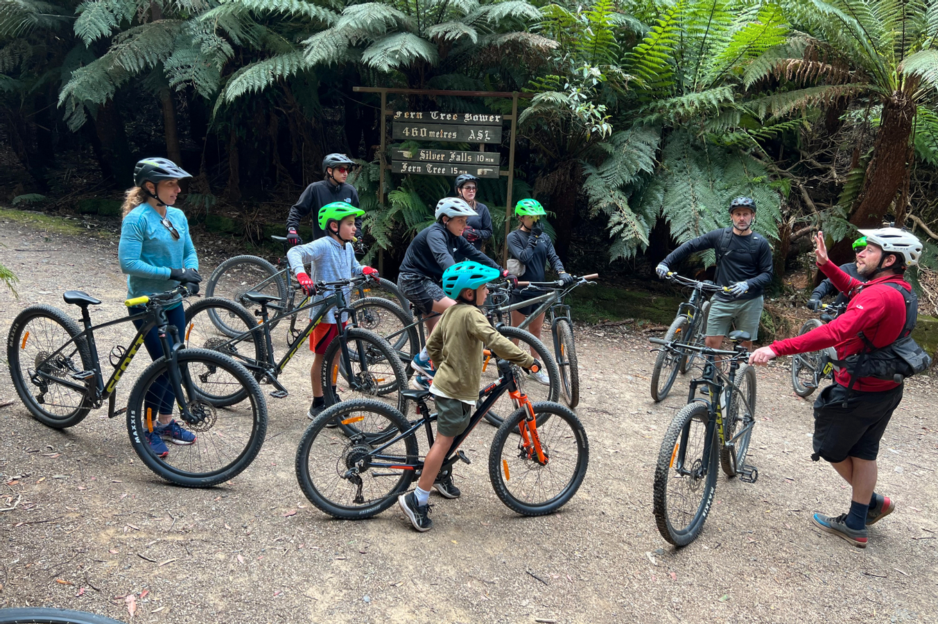 Tiket Mt Wellington Bike Ride - Summit Descent & Rainforest Adventure ...