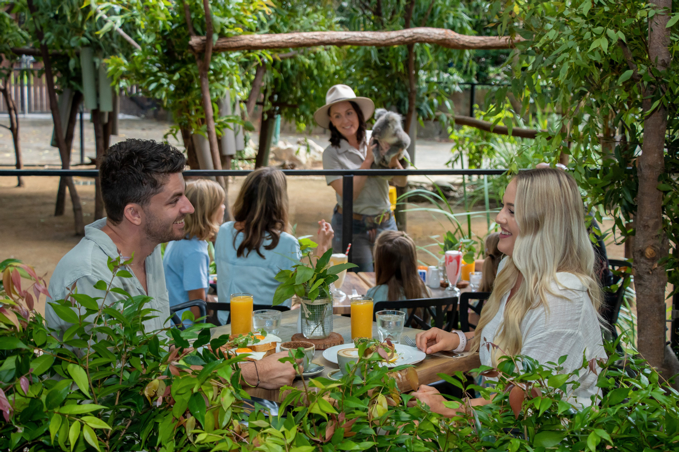 Tiket Currumbin Wildlife Sanctuary Ticket Harga Promo