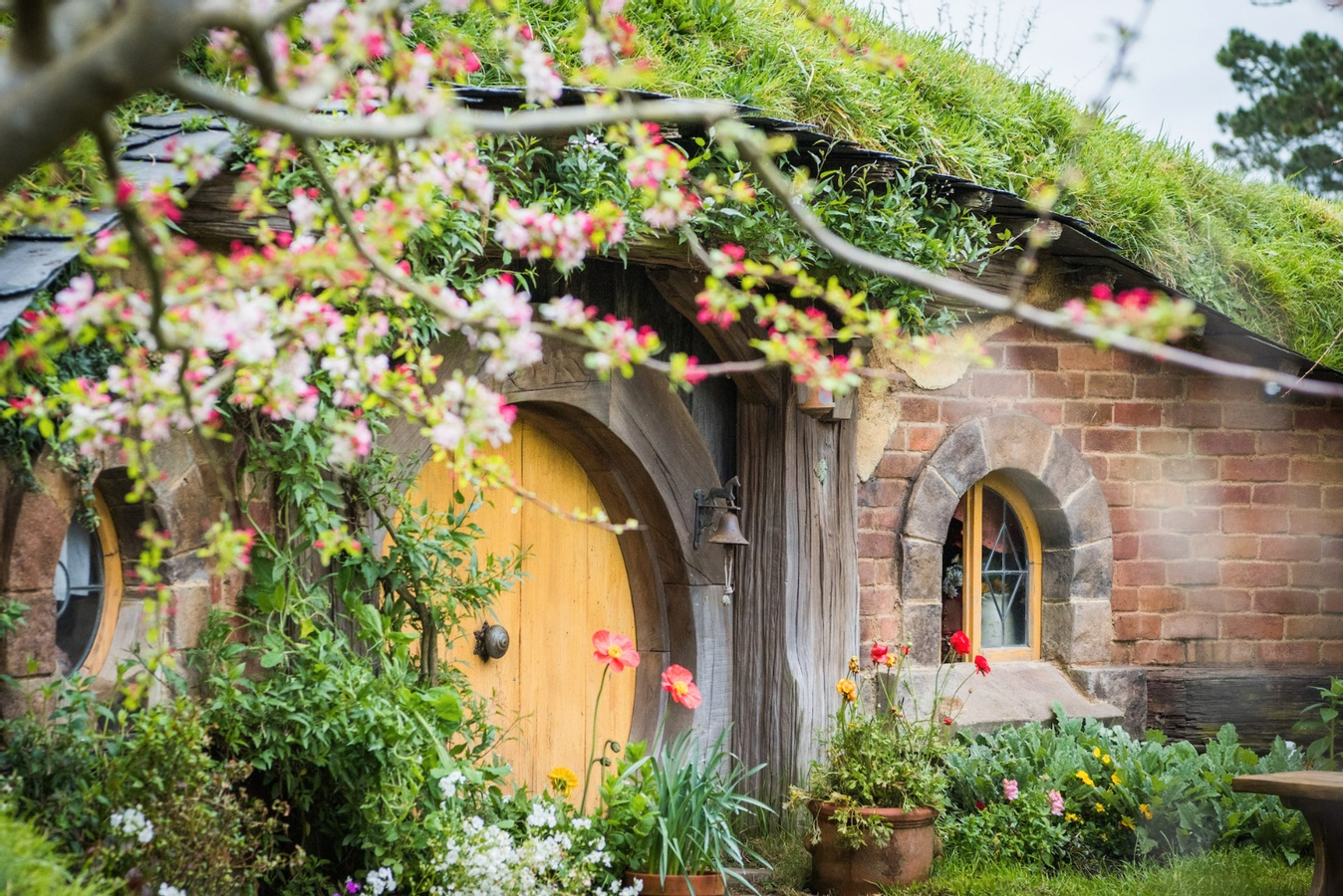 Promo code 2024 hobbiton tours