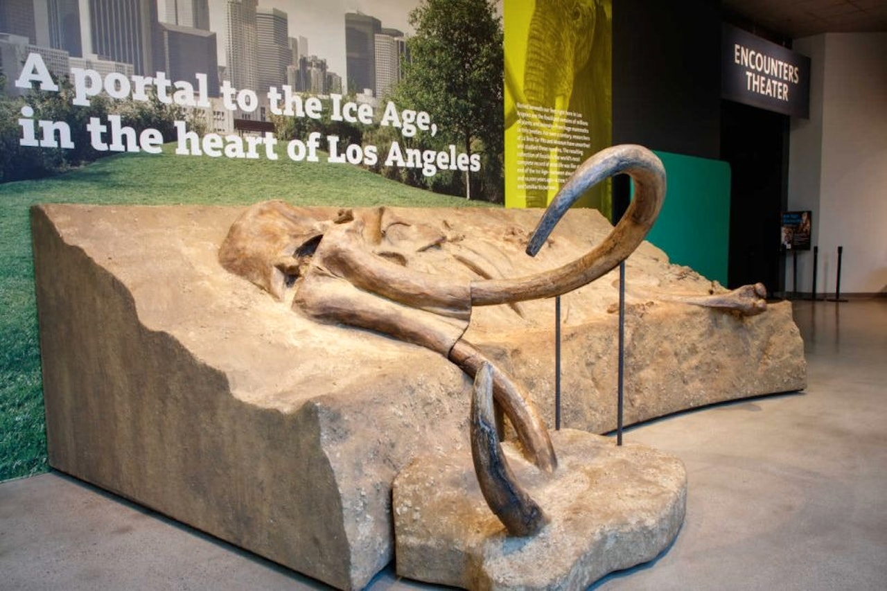 La Brea Tar Pits Museum i86hiBMf-backdrop