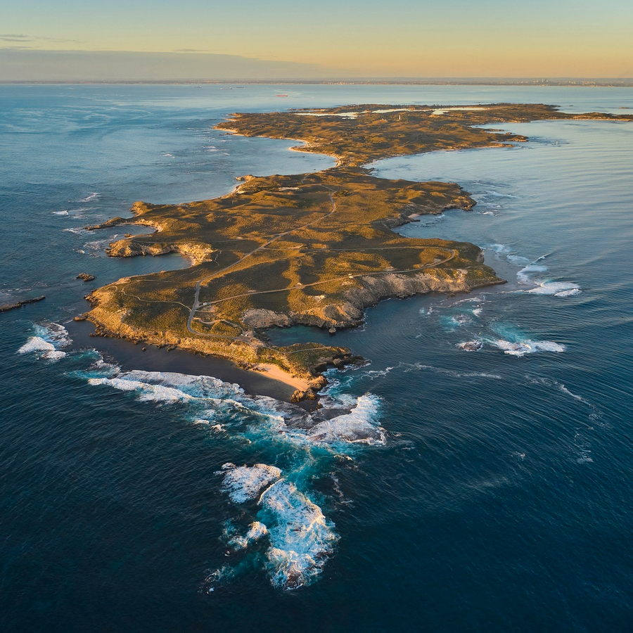 Rottnest Island Bayseeker Bus Tour with Round Trip SeaLink Ferry Transfer 20ADLNnK