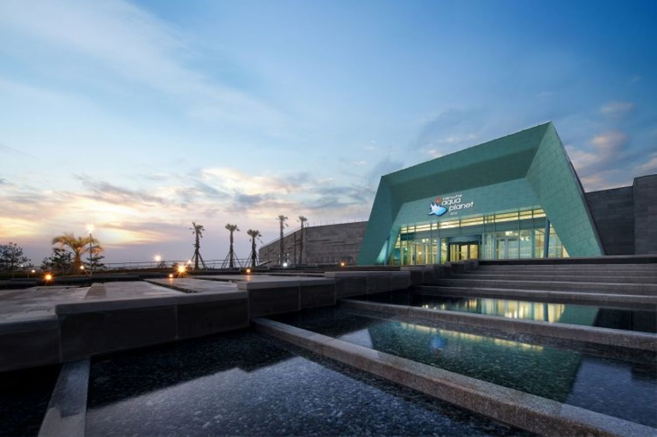 Aqua Planet Jeju Aquarium TYbw95GC