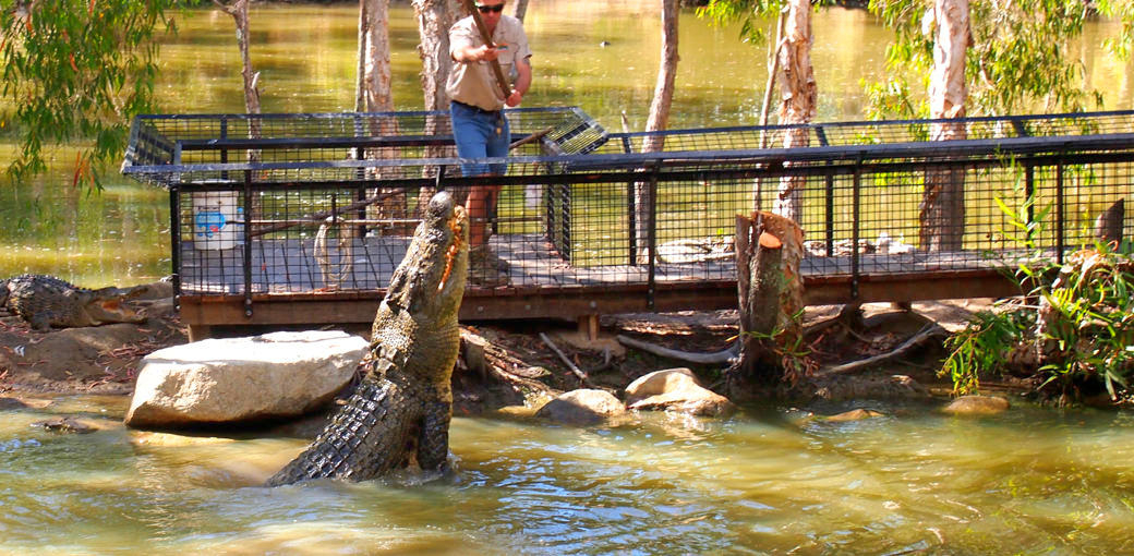 Hartleys Crocodile Adventures Entry Tickets CoBE1UEN-backdrop