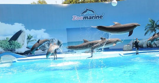 Zoomarine Private Trip from Lisbon with Entrance Tickets SkRUbnzQ-backdrop