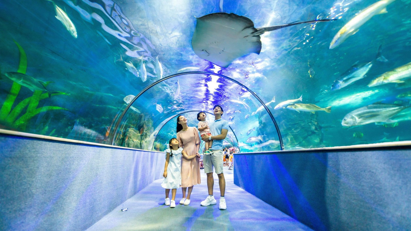 VinKE & Vinpearl Aquarium GVSviruF