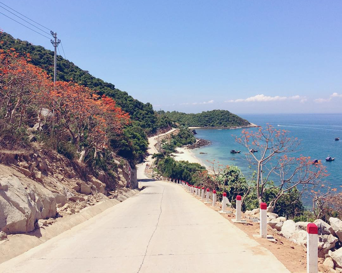 Cham Island Day Tour From Da Nang Z9TXMlf7