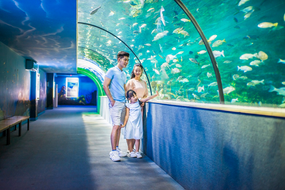 VinKE & Vinpearl Aquarium TCVyKjtL