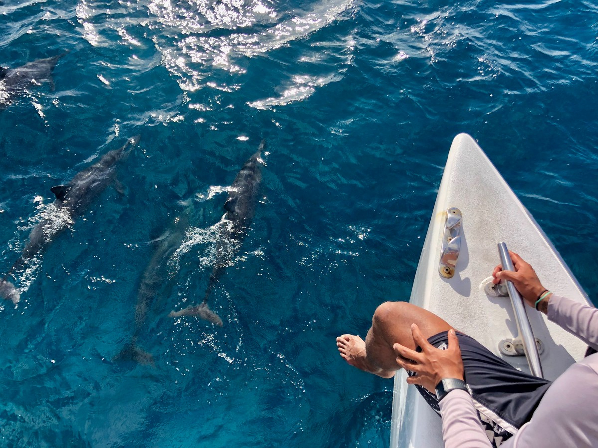 Go City: Oahu ​All-Inclusive Pass ljEQZZi4