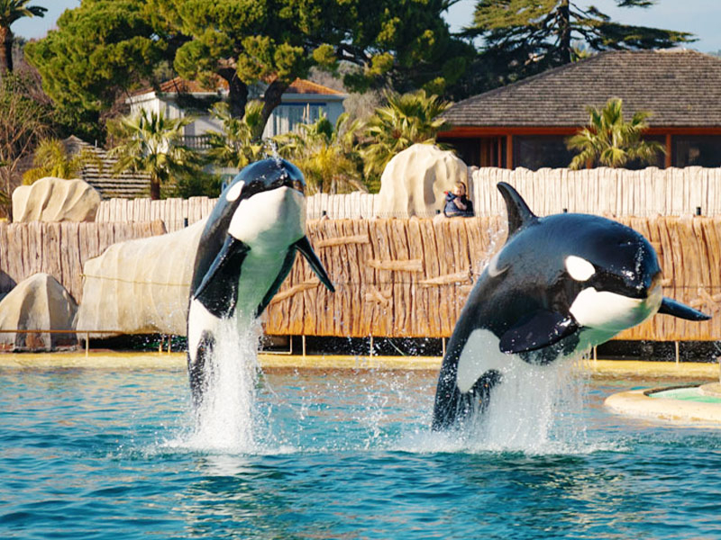 Marineland Côte d'Azur Ij0evgVr
