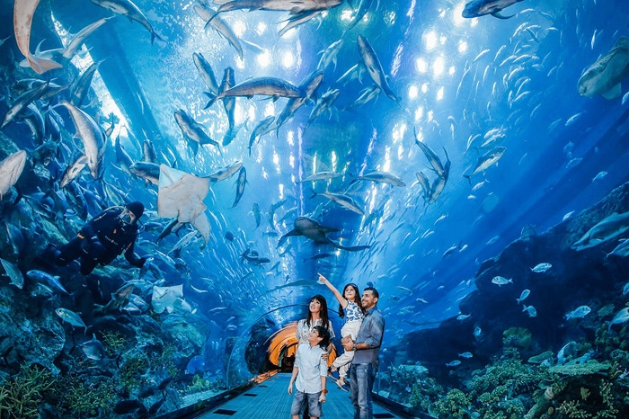 VinKE & Vinpearl Aquarium uVaxEiBO