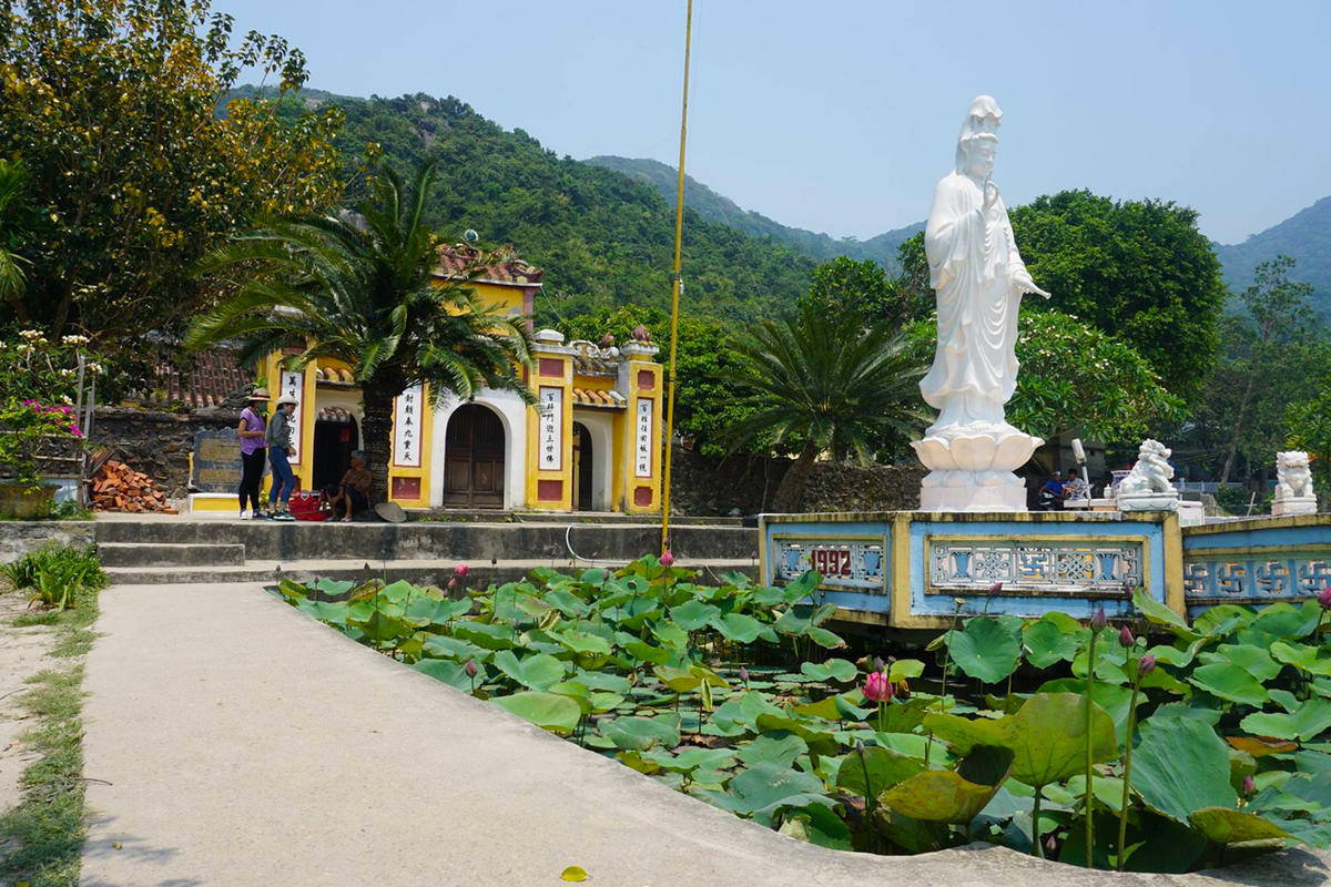 Cham Island Day Tour From Da Nang B9TP9Dgx
