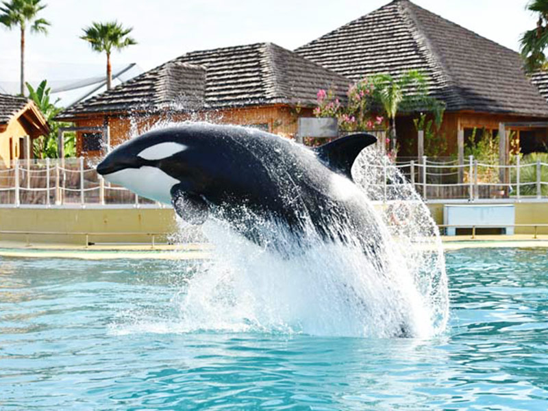Marineland Côte d'Azur ufAXpUvY