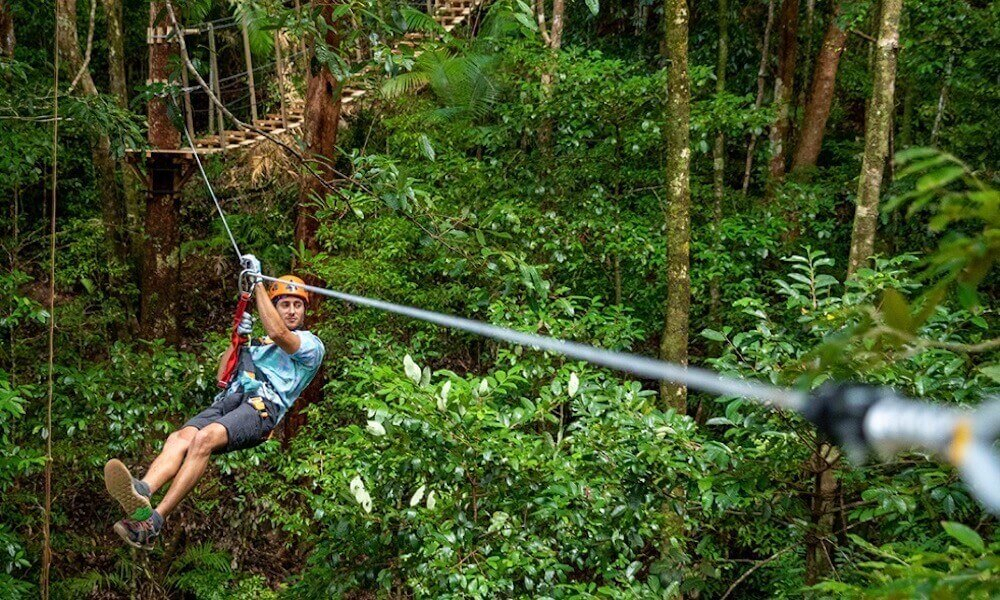 Cape Tribulation Zipline Canopy Tour - 2 Hours 5ySin2J0-backdrop