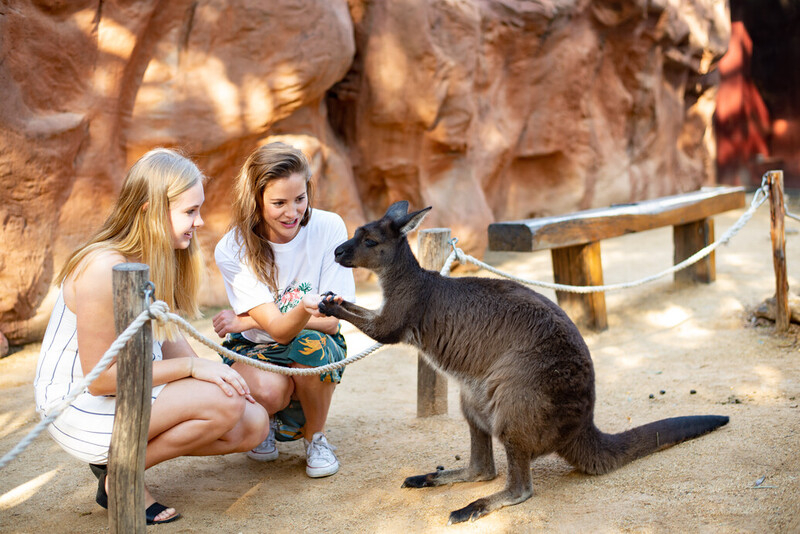 Go City: Sydney Explorer Pass zI9isVZ6