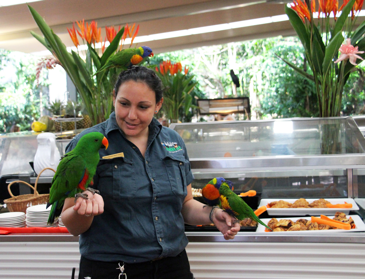 Wildlife Habitat Port Douglas Ticket in Cairns bgfD9kZq