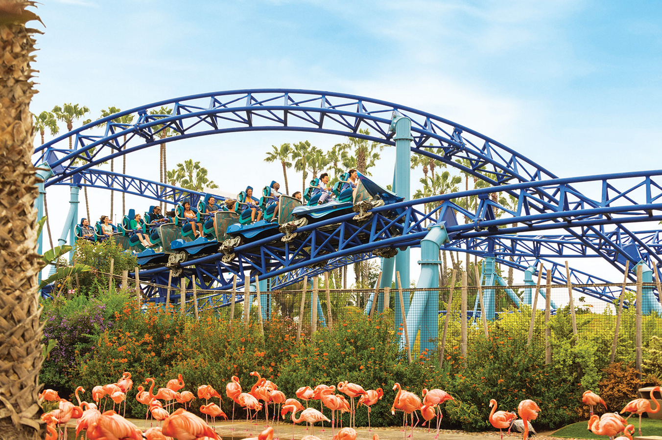 SeaWorld San Diego Ticket 2xfguyc8