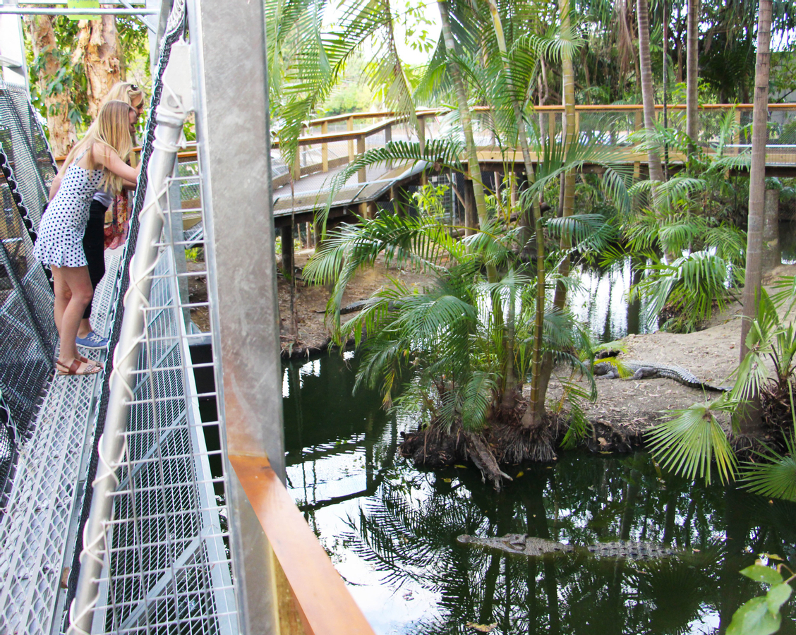 Wildlife Habitat Port Douglas Ticket in Cairns 6NChUpkK-backdrop