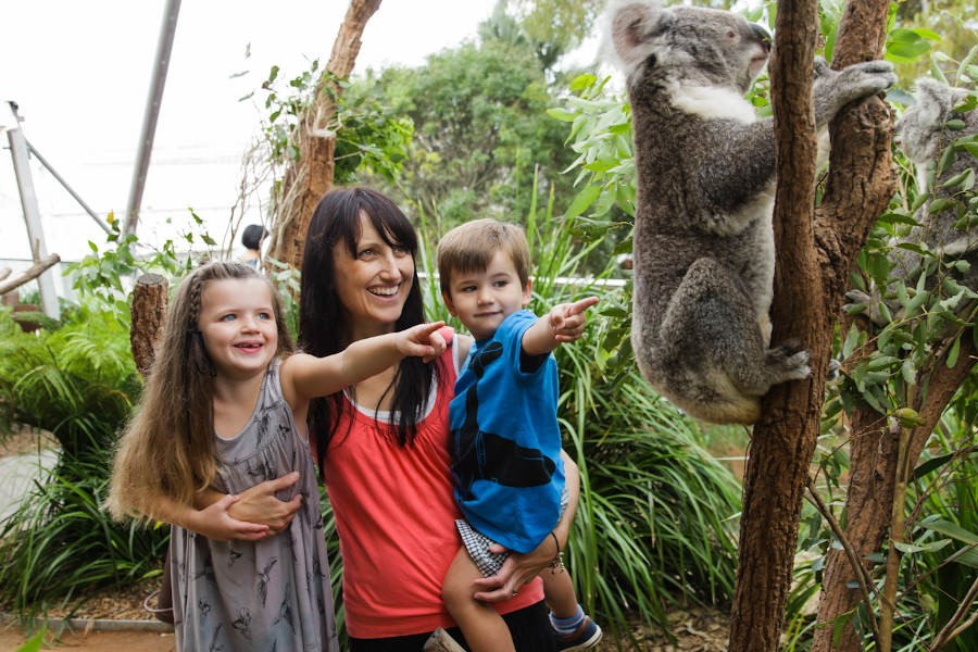 Sydney Attraction Pass gxRslQ1S