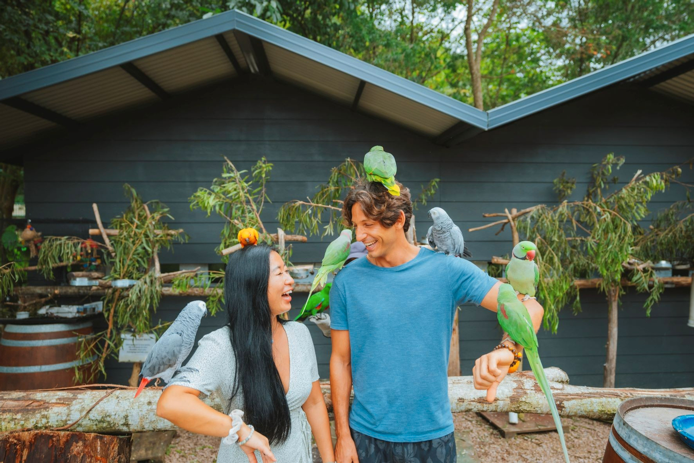 Maleny Botanic Gardens and Bird World Ticket in Sunshine Coast mxM1DIye