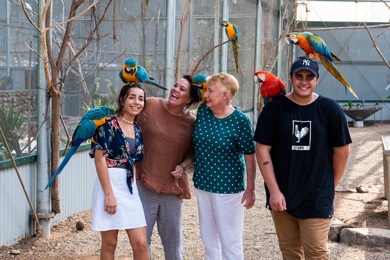 Maleny Botanic Gardens and Bird World Ticket in Sunshine Coast 4vVCJUHM-backdrop