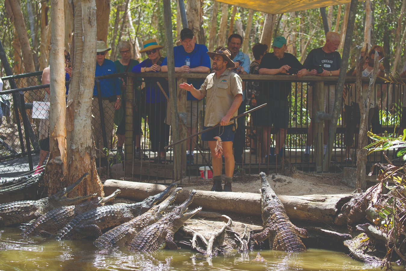 Hartley's Crocodile Adventures Ticket mVwbLfbP