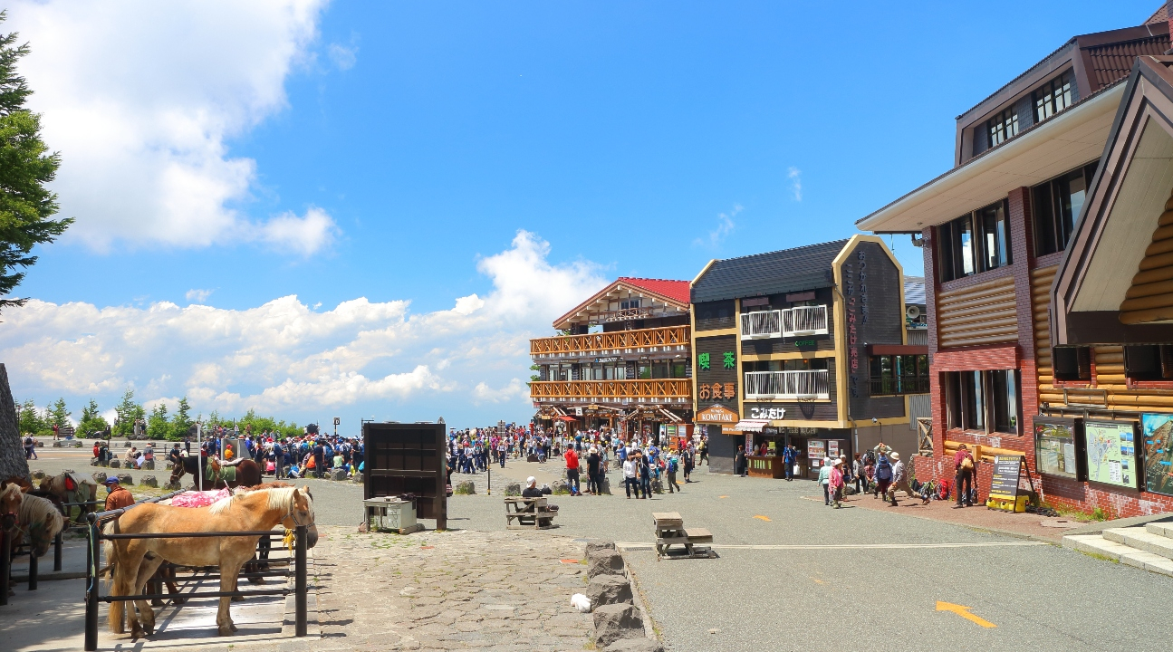 Mt. Fuji 5th.St & Hakone & Gotemba Outlets with lunch from Tokyo 81ADwvWC