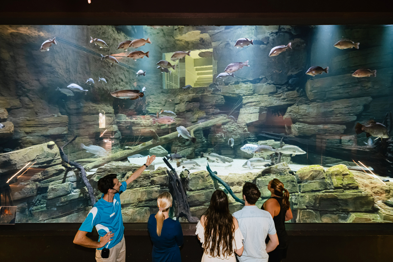 Cairns Aquarium Ticket czJYopez-backdrop