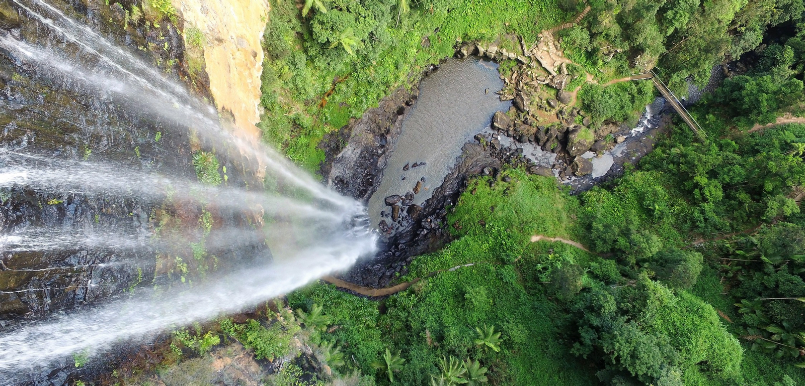 Natural Bridge and Springbrook Waterfalls Tour from Gold Coast 3UxOCB8O