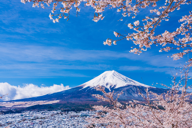 Mt. Fuji 5th.St & Hakone & Gotemba Outlets with lunch from Tokyo GbsI0hwl